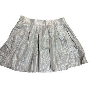 Banana Republic Silver Champagne Pleated Mini Skirt Size 12